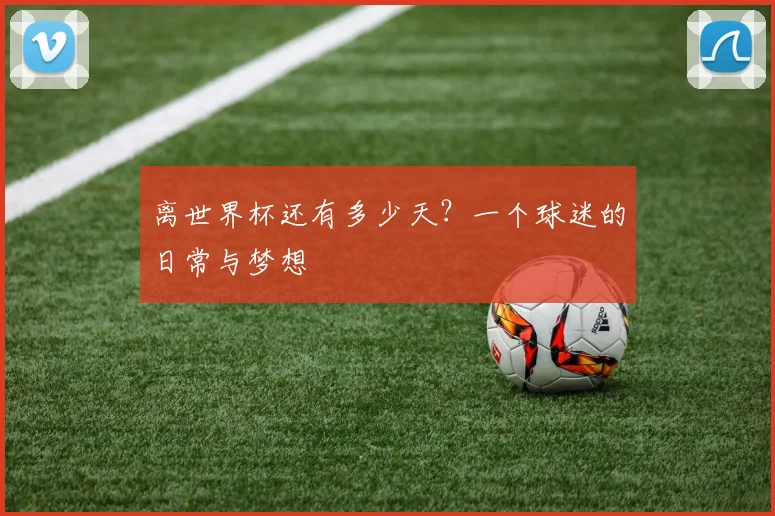 离世界杯还有多少天？一个球迷的日常与梦想
