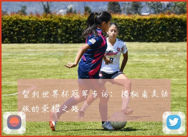 智利世界杯冠军专访：揭秘南美劲旅的荣耀之路