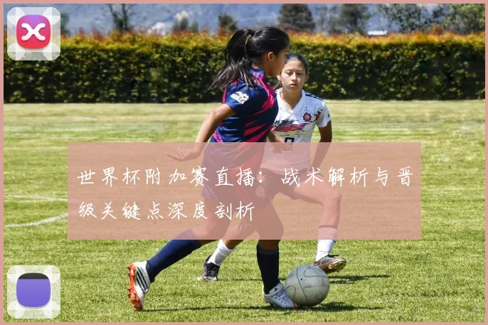 世界杯附加赛直播：战术解析与晋级关键点深度剖析